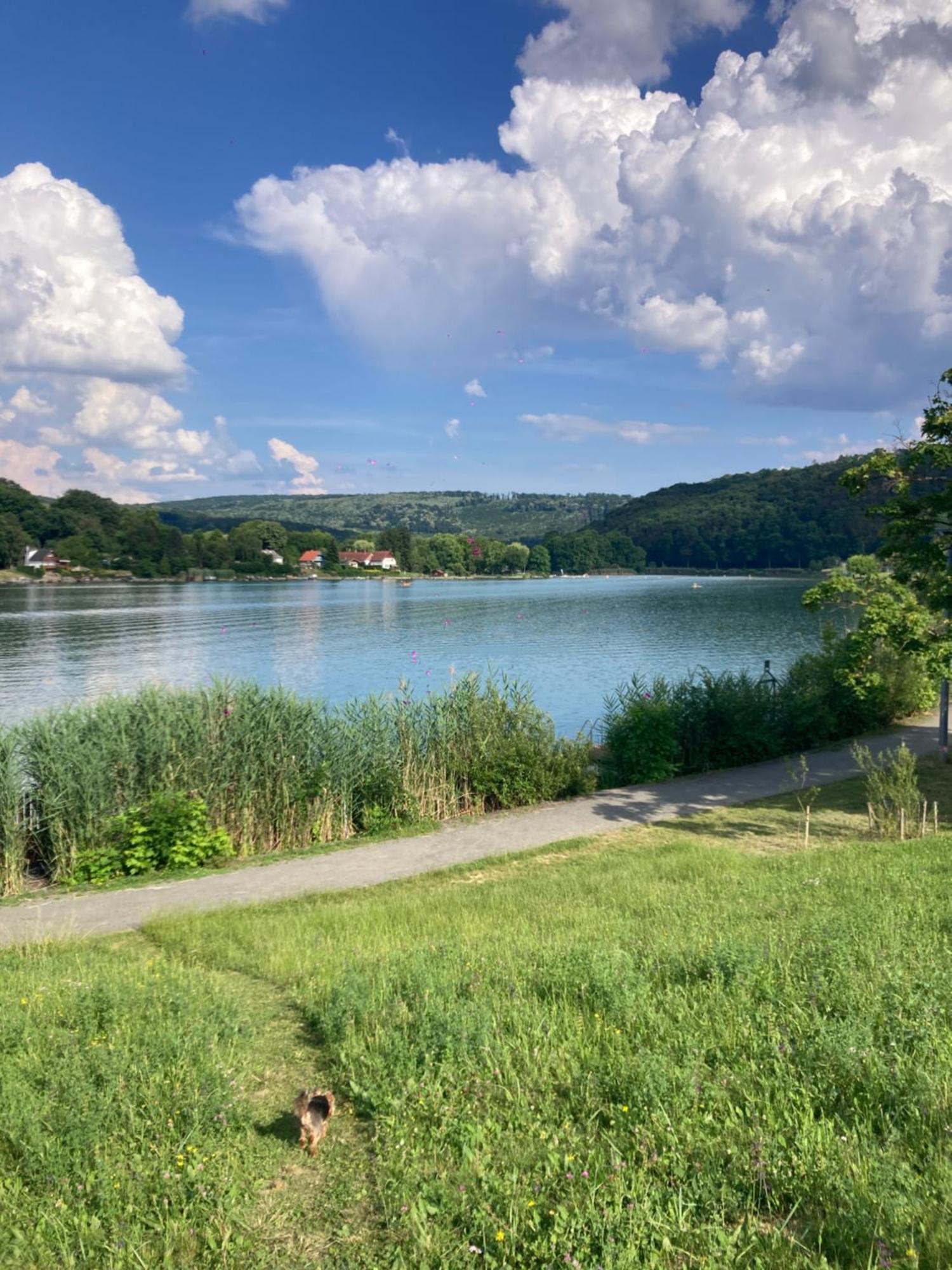 Oazis Apartman Орфів Екстер'єр фото